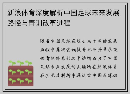 新浪体育深度解析中国足球未来发展路径与青训改革进程